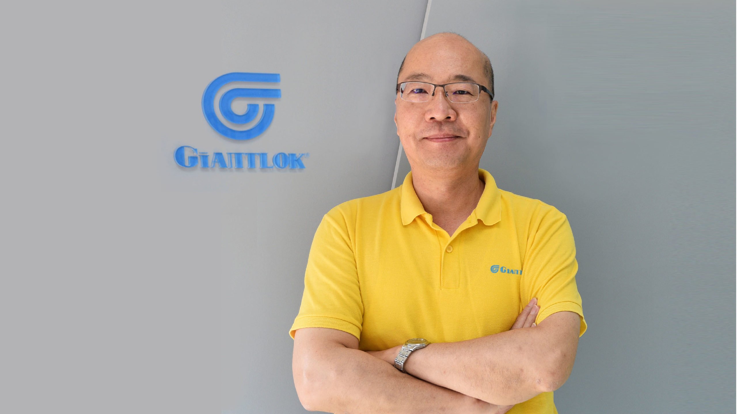Giantlok consulting service